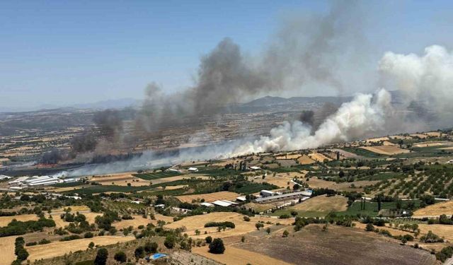 Balıkesir Pamukçu’da arazi yangını