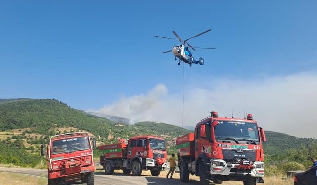 Balıkesir’de 11 orman ve arazi yangını meydana geldi