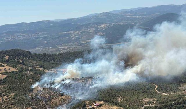 Balıkesir’de araziden ormana sıçrayan yangına müdahale sürüyor