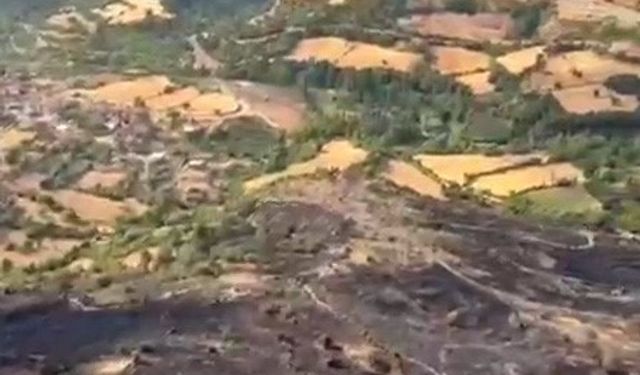 Balıkesir’de orman yangını kontrol altına alındı