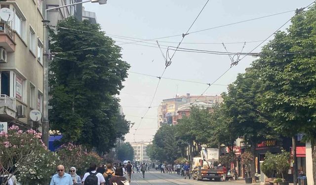Bilecik’te süren yangının dumanı Eskişehir’e ulaştı