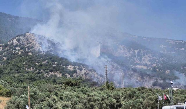 Bodrum’daki yangın kontrol altına alındı
