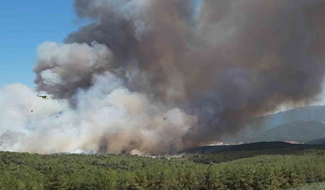Bornova’daki yangın büyüdü; 8 uçak ve 17 helikopterle müdahale sürüyor