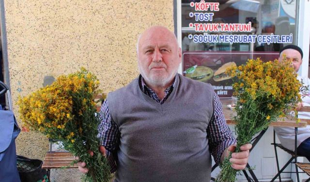 Bu çiçek hediye için değil sağlık için alınıyor