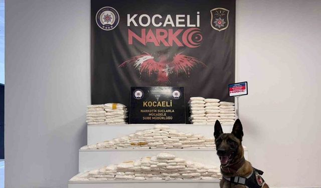 Cipte zulalanmış 82 kilo uyuşturucu ele geçirildi: 1 şüpheli tutuklandı