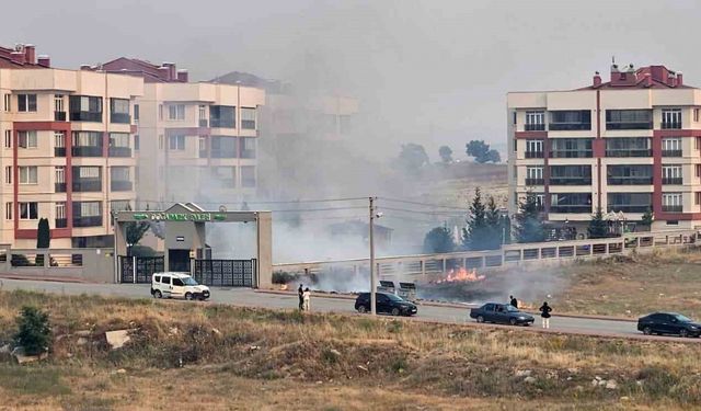 Çöpe atılan sigara izmariti nedeniyle yangın çıktı