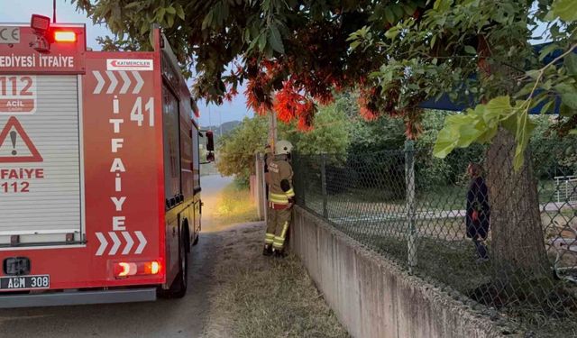 Duman itfaiyeyi harekete geçirdi