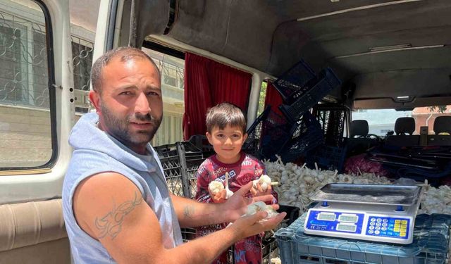 Ekmek parasını kazanmak için binlerce kilometre yol gezdiler