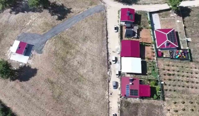 FETÖ korkusu salıp: 2 milyon 400 bin TL’lik vurgun yaptılar