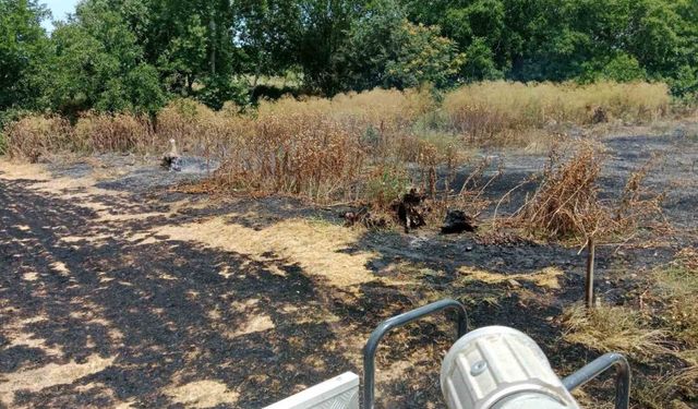 Gönen’de aynı gün iki ayrı yangın: İtfaiye ekipleri alevleri kontrol altına aldı