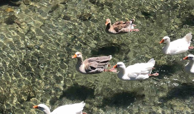 İnönü Havacılık Eğitim Merkezi’ndeki doğal güzellik