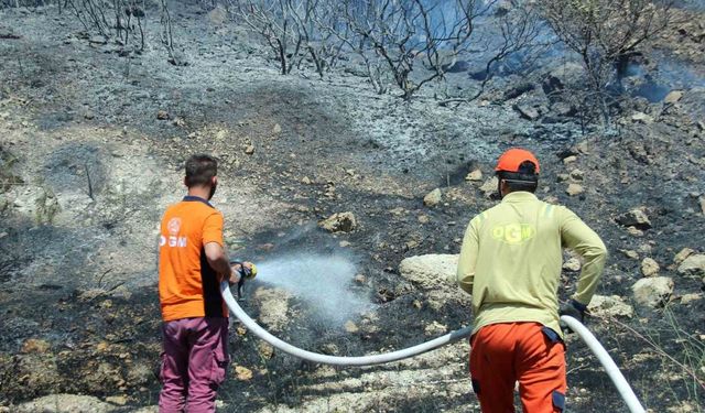 İzmir Aliağa yangını kontrol altında