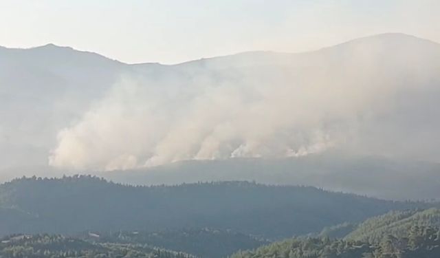 İzmir’de orman yangını sürüyor... Günün aydınlanmasıyla havadan müdahale yeniden başladı