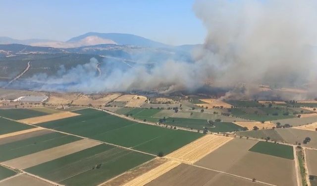 İzmir’de orman yangınına havadan ve karadan müdahale