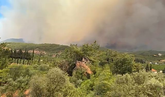 İzmir’deki orman yangında kullanılan uçak sayısı 18’e çıktı