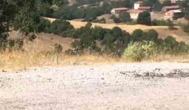 Kepsut’ta orman yangını başladı
