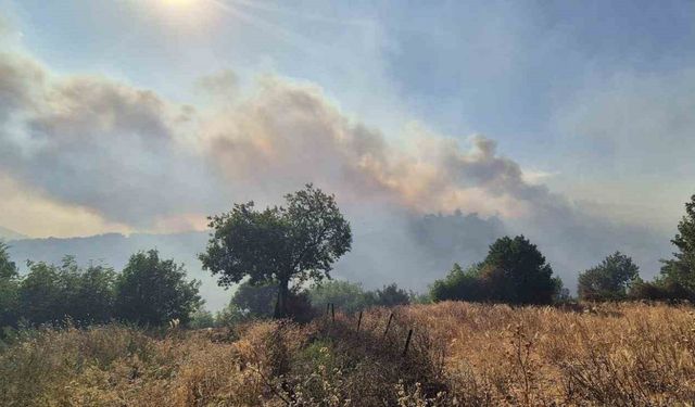 Kepsut’taki orman yangını köyü tehdit ediyor