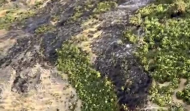 Kepsut’taki yangınla mücadele sürüyor