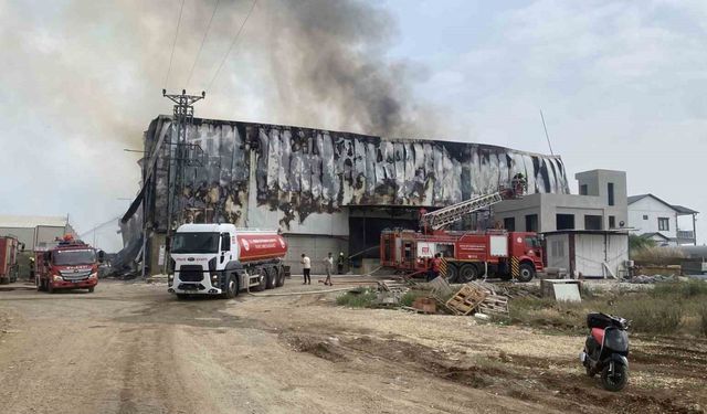 Mersin’de pamuk fabrikasında yangın, ekipler müdahale ediyor