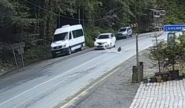 Otomobil düşen kayadan saniyelerle kurtuldu