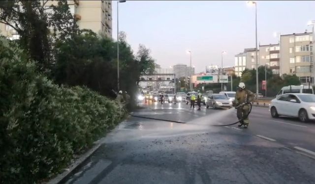 Şişli’de ağaçlık alanda çıkan yangın korkuttu