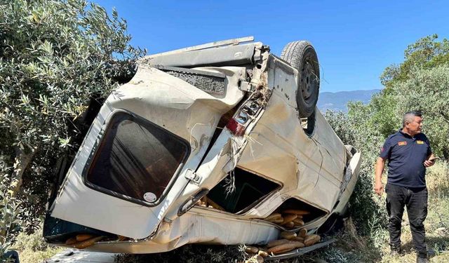 Ticari araç zeytinliğe uçtu: 1 ölü