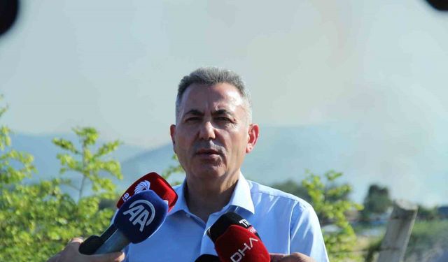 Vali Elban’dan Bornova yangını açıklaması: "Enerjisi düşmüş durumda"