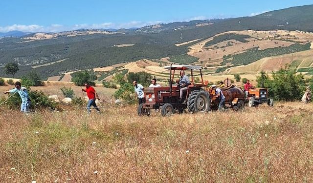 Vezirköprü’de buğday tarlasında yangın: 30 dönüm alan kül oldu