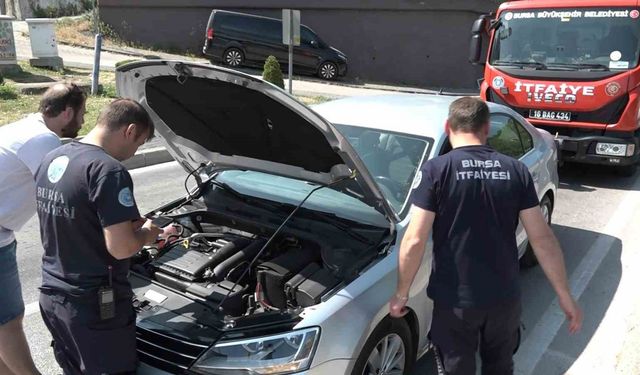 Yavru kedi, trafiği kilitledi