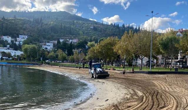 Kocaeli sahillerine Büyükşehir eliyle temiz sezon