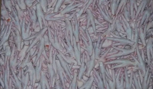 Kanatlı sektörü, Çin'e tavuk ayağı iznini bekliyor