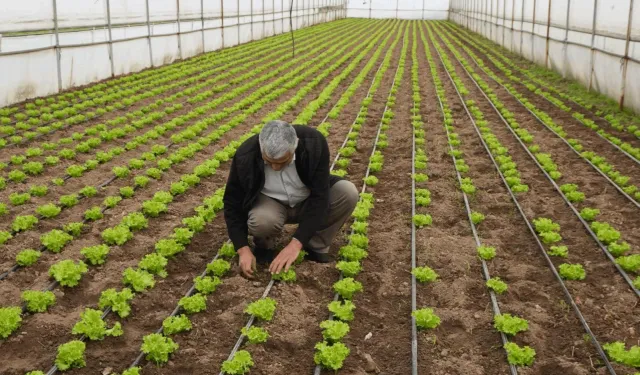 Balıkesir Büyükşehir'den üreticilere tam destek