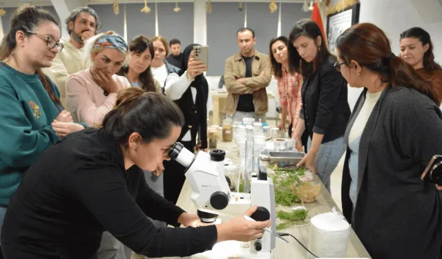 Balıkesir'de 30 kursiyer bitki doku kültürü eğitimi aldı