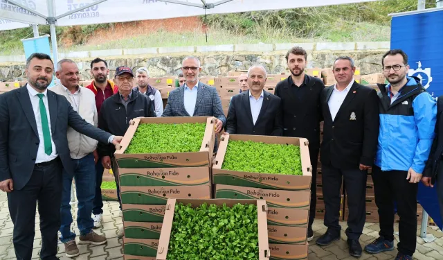 Gebze'de sebze fideler dağıtıldı