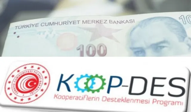 Kooperatiflere 34,8 milyon TL'lik yeni destek
