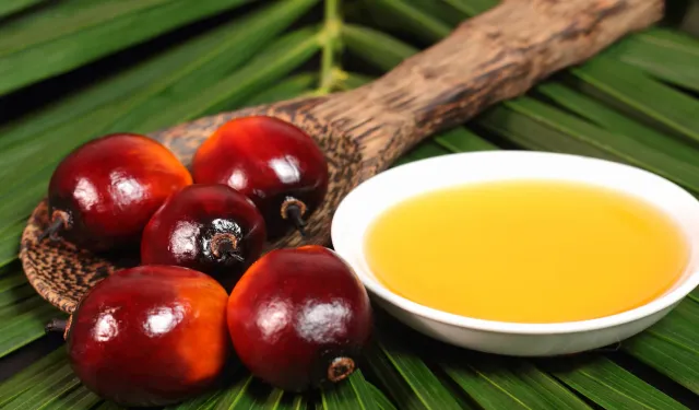 Palmiye yağının sağlık rolü bilimsel bulgularla netleşiyor
