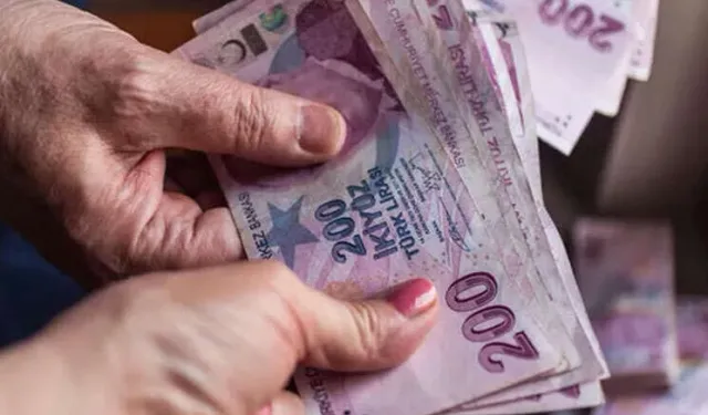 Aralık ayı yaşlı ve engelli aylıkları hesaplara yatırılıyor