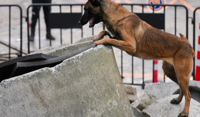 İstanbul Maltepe'nin Zeyna'sı artık ekibin bir parçası
