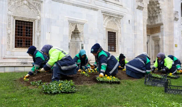 Bursa kışın da adeta çiçek bahçesi
