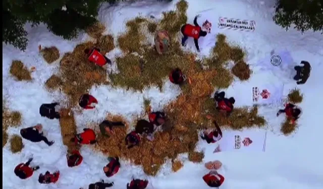 Ilgaz Dağı'na yüzlerce kilo yem bırakıldı