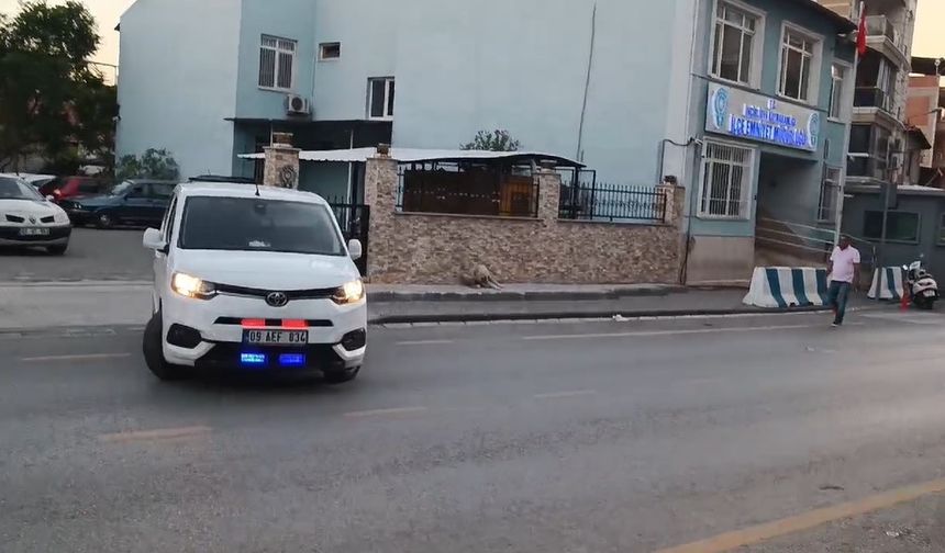 Acarlar Polisi, kaçakçılığa geçit vermedi