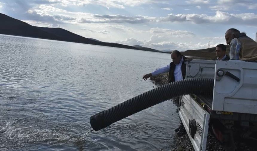 Bayburt’ta baraj ve göletlere 574 bin yavru balık bırakıldı