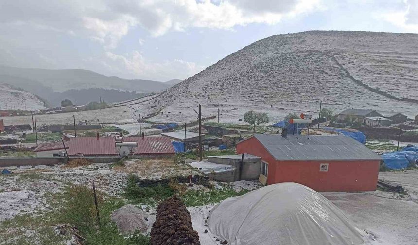 Hanak ilçesi dolu yağışı ile beyaza büründü