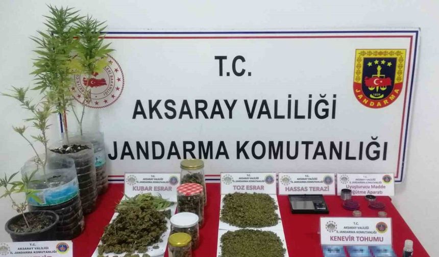 Jandarmanın suçüstü yaptığı uyuşturucu taciri tutuklandı