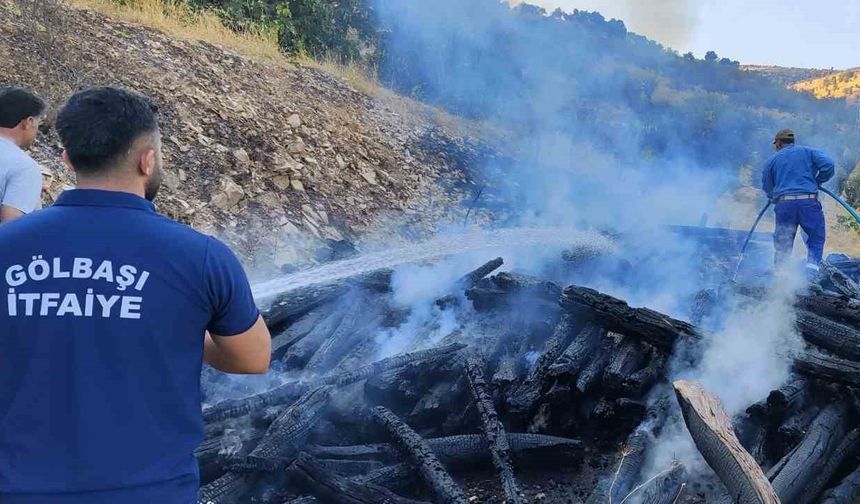 Kışlık odunlar alev alev yandı