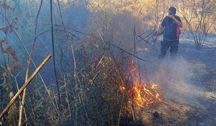 Mardin’de ormanlık alanda çıkan yangın devam ediyor