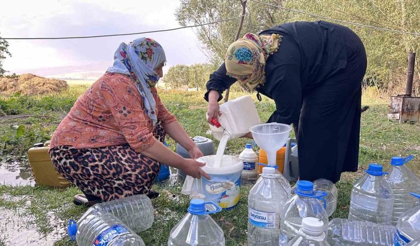 Yüksekova’da kışlık süt mesaisi