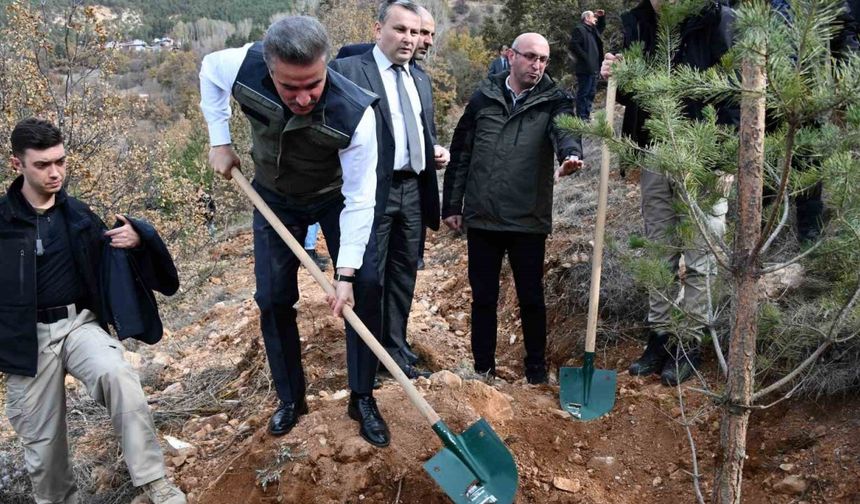 Gümüşhane’de binlerce fidan toprakla buluştu