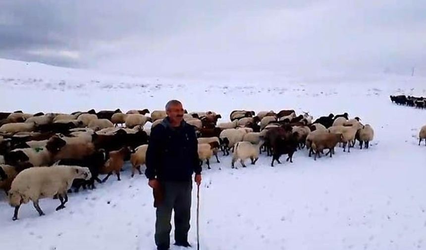 Kar yağışı besicilere zor anlar yaşattı