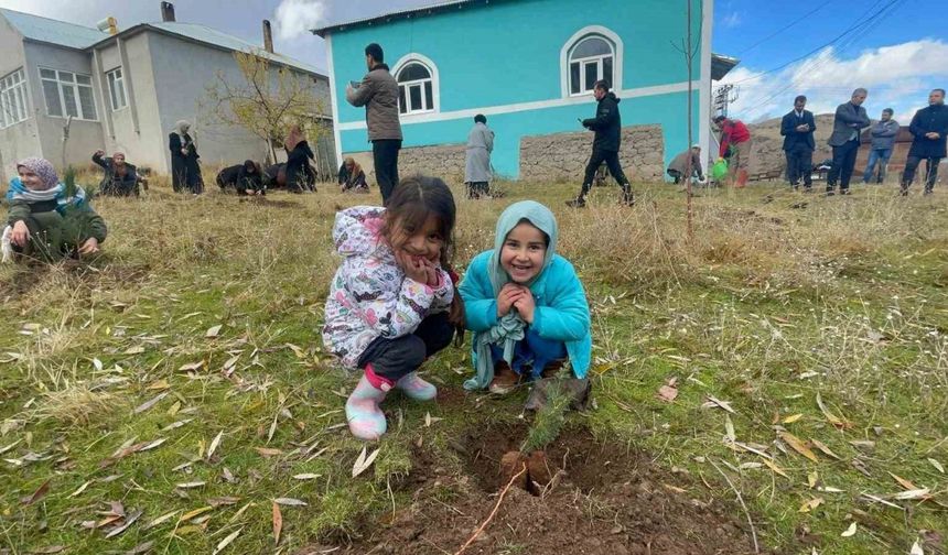 Muradiye’de ‘Hafızlar Hatıra Ormanı’ oluşturuldu